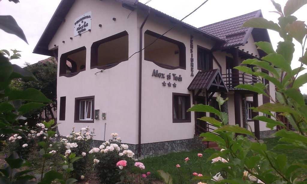Pensiunea Alex Si Tedi Horezu Quarto foto