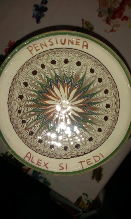 Pensiunea Alex Si Tedi Horezu Exterior foto